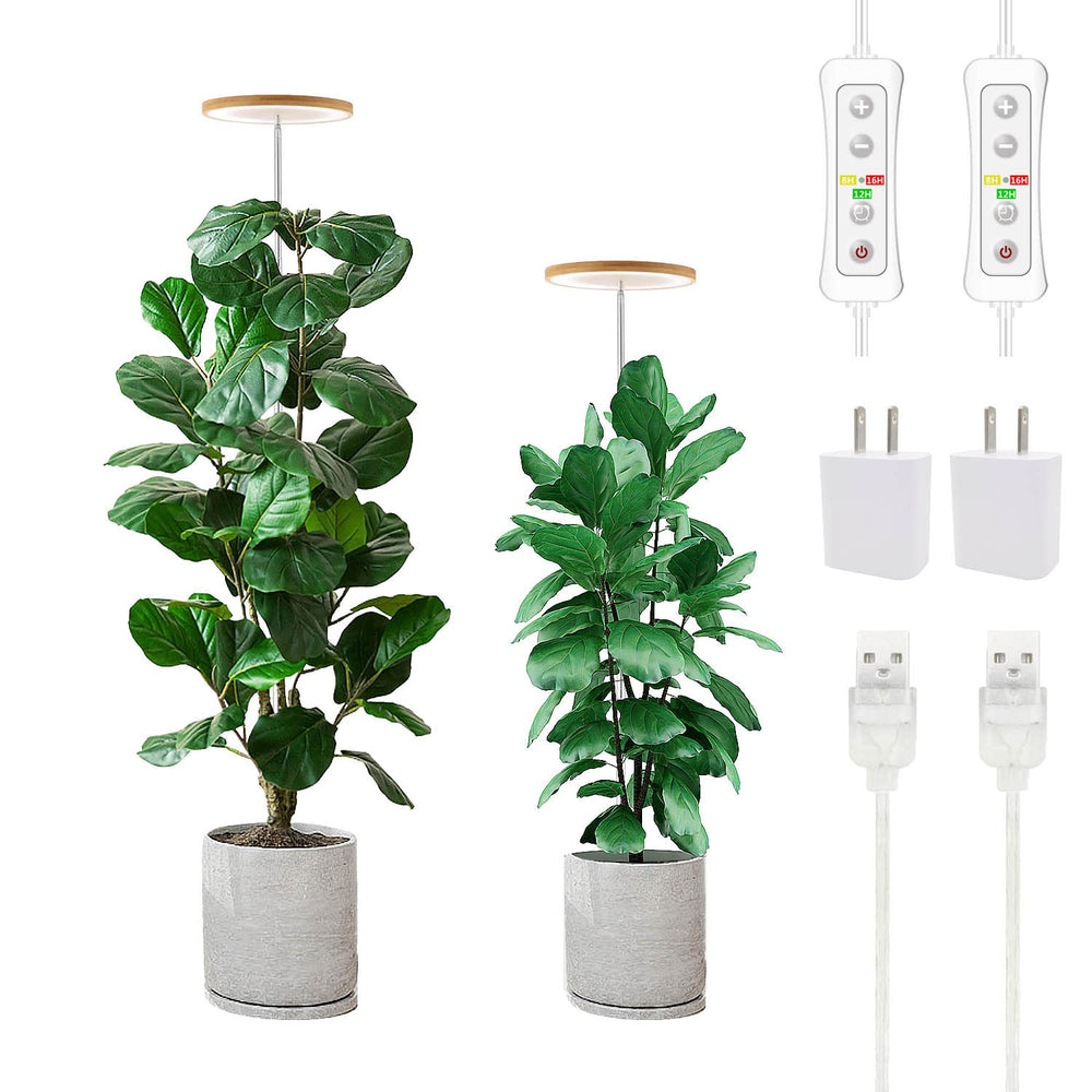 LED Grow Light